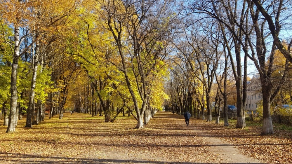 Парк Ветеранов труда — Вологда